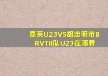 嘉莱U23VS胡志明市BRVTII队U23在哪看