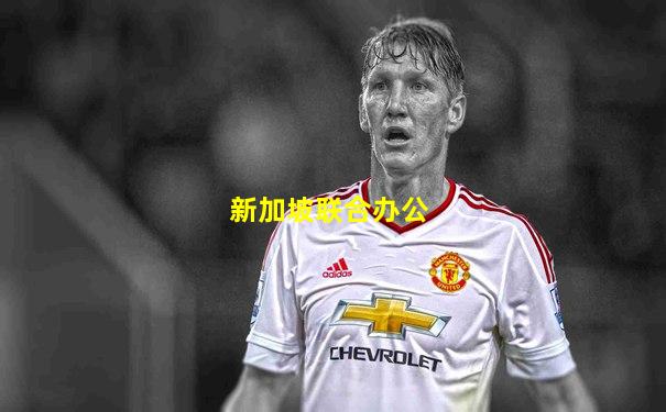 新加坡联合办公