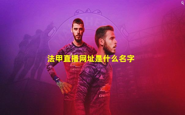 法甲直播网址是什么名字