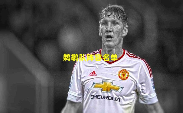 鹈鹕队阵容名单